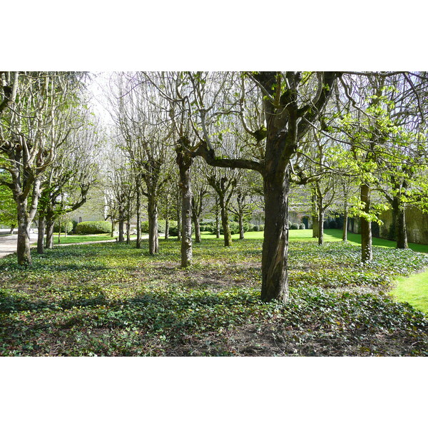 Photo France Château de Chenonceau Jardins de Chenonceau 2008-04 29
