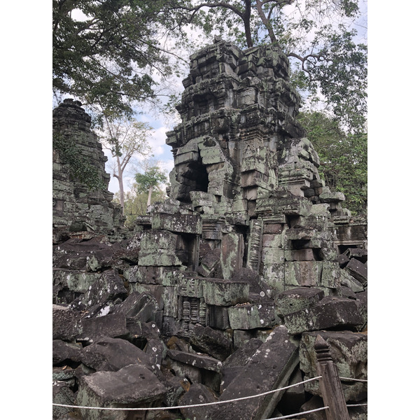 Photo Cambodge Siem Reap Ta Prohm 2023-01 106