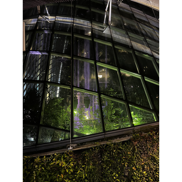 Photo Singapour Garden by the bay 2023-01 56