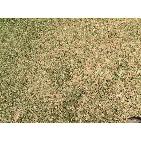 Photo Thaïlande Parc National Phu Hin Rong Kla 2014-12 367
