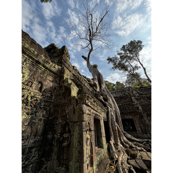 Photo Cambodge Siem Reap Ta Prohm 2023-01 18