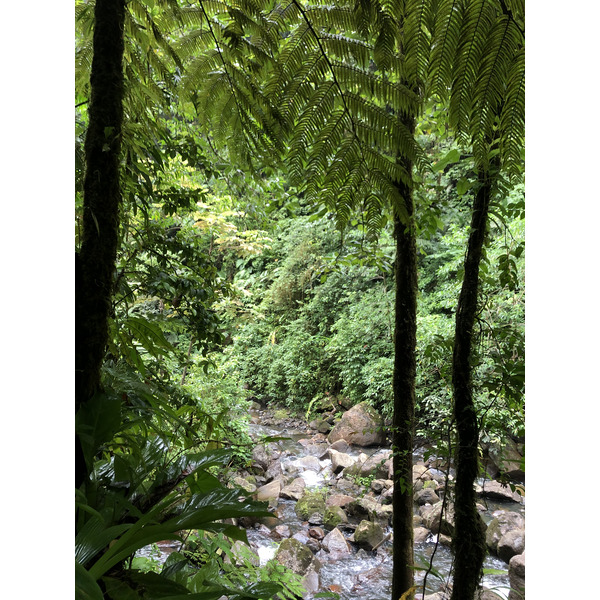 Photo Guadeloupe Chute du Carbet 2021-02 44