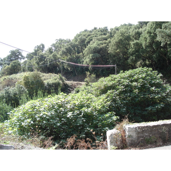 Photo France Corse Bastia to Saint Florent Road 2006-09 6