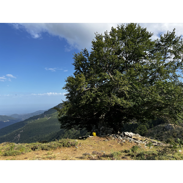 Photo France Corse Refuge de Callerucciu 2022-06 61