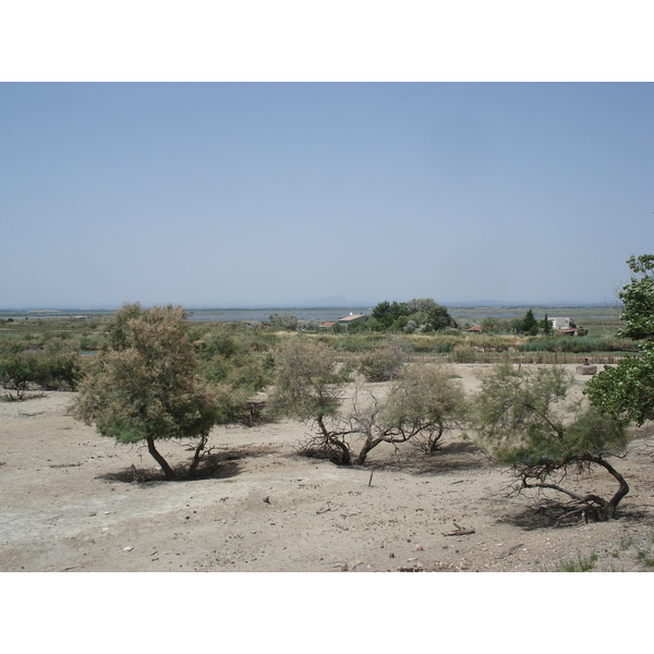 Photo France Camargue 2006-06 10