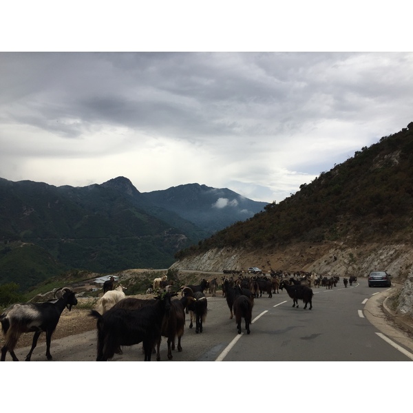 Photo France Corse Vallée d'Alesani 2017-07 1