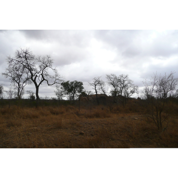 Photo Afrique du Sud Parc National Kruger route de la rivière Crocodile 2008-09 16