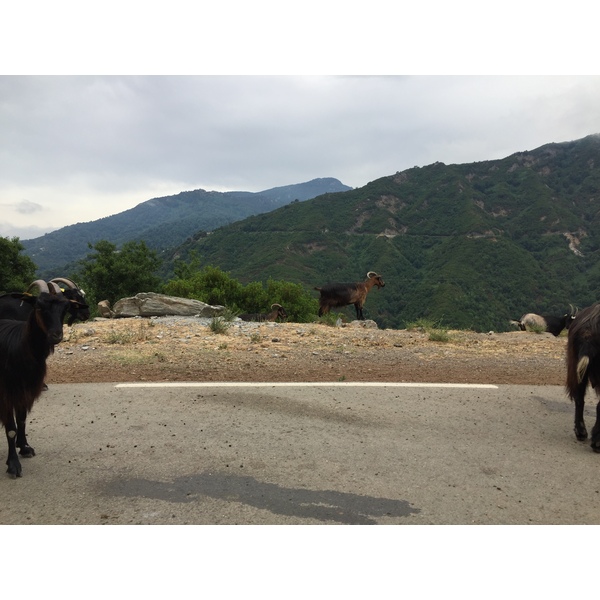 Photo France Corse Vallée d'Alesani 2017-07 6