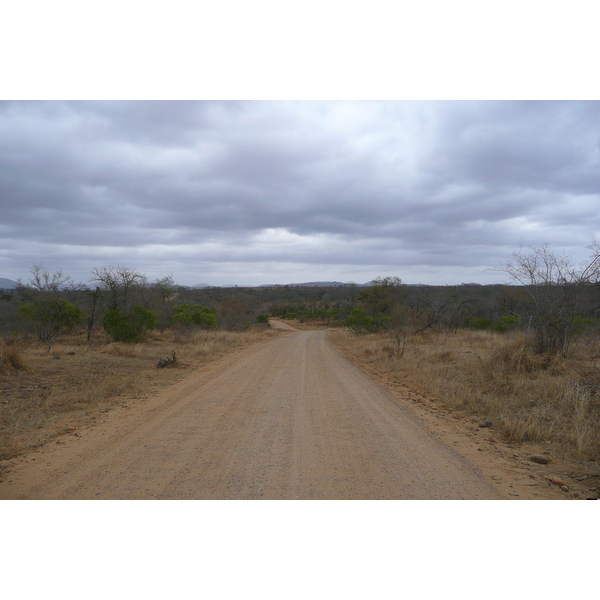 Photo Afrique du Sud Parc National Kruger route de la rivière Crocodile 2008-09 1