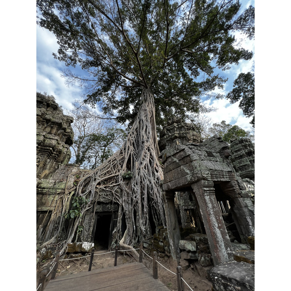 Photo Cambodge Siem Reap Ta Prohm 2023-01 11