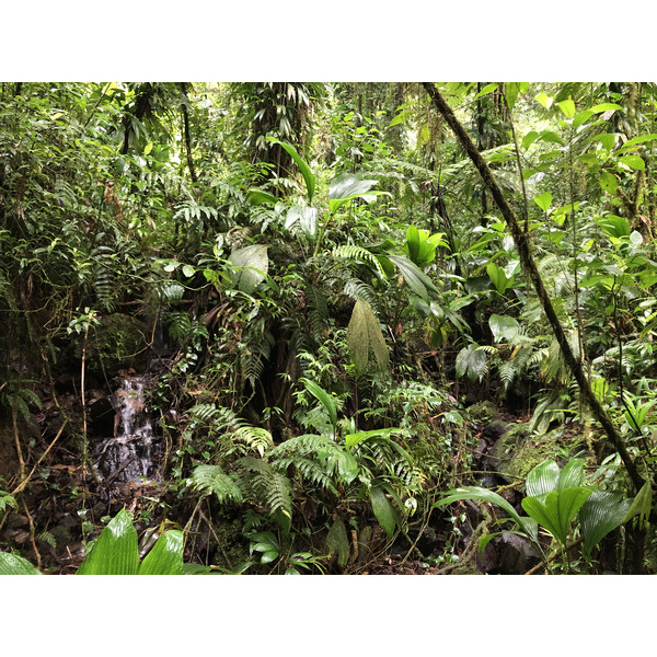 Photo Guadeloupe Chute du Carbet 2021-02 17