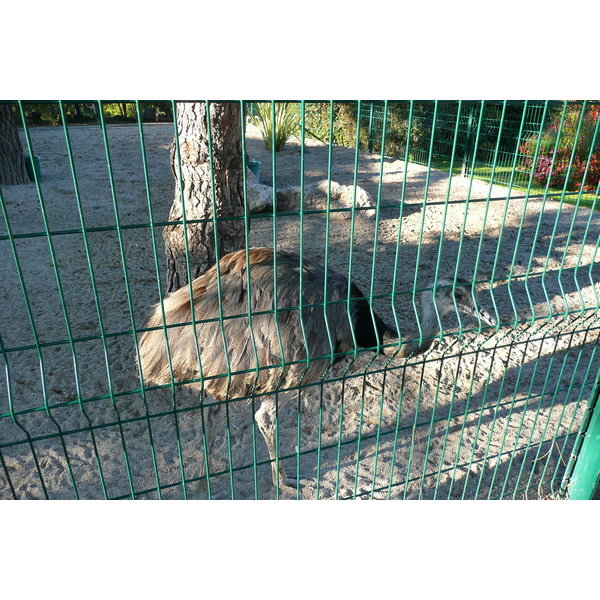 Photo France Nice Parc Phoenix 2007-10 18