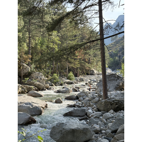 Photo France Corse La Restonica 2025-06 45
