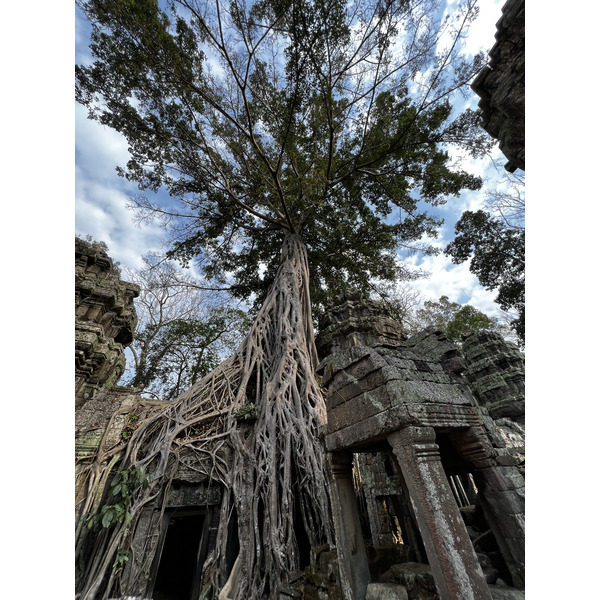 Photo Cambodge Siem Reap Ta Prohm 2023-01 27