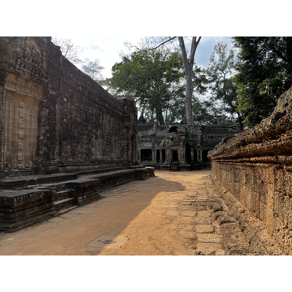 Photo Cambodge Siem Reap Ta Prohm 2023-01 117