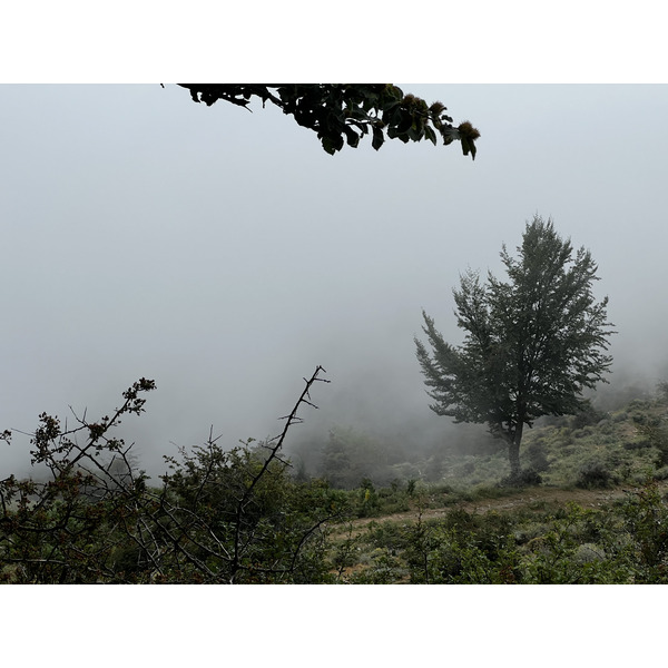 Photo France Corse Refuge de Callerucciu 2022-06 45