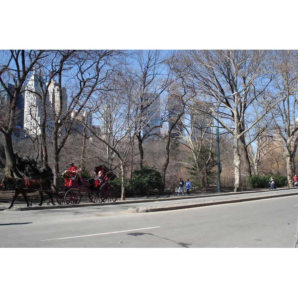 Photo États-Unis New York Central Park 2006-03 53