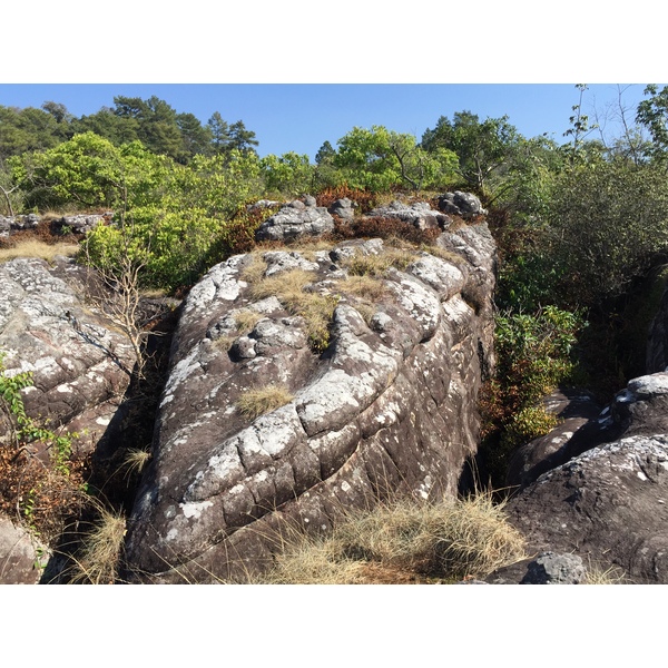 Photo Thaïlande Parc National Phu Hin Rong Kla 2014-12 298