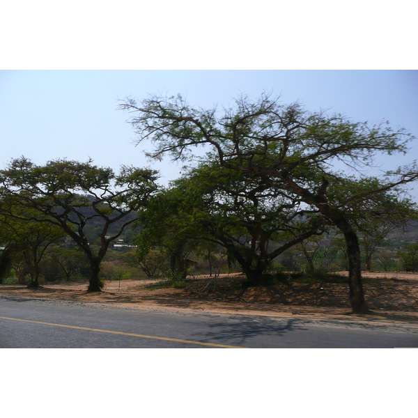 Photo Afrique du Sud Nelspruit 2008-09 44