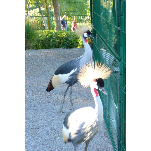 Photo France Nice Parc Phoenix 2007-10 21