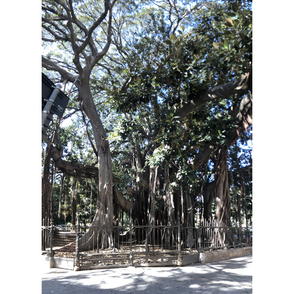 Photo Italie Sicile Palermo 2020-02 168
