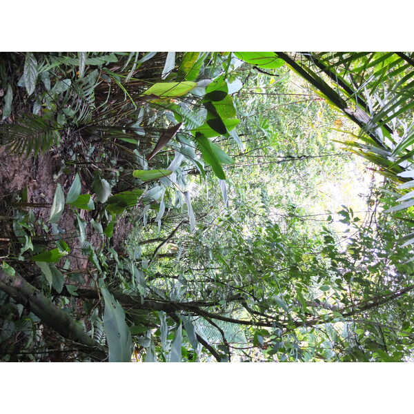 Photo Panama Bastimentos 2015-03 87