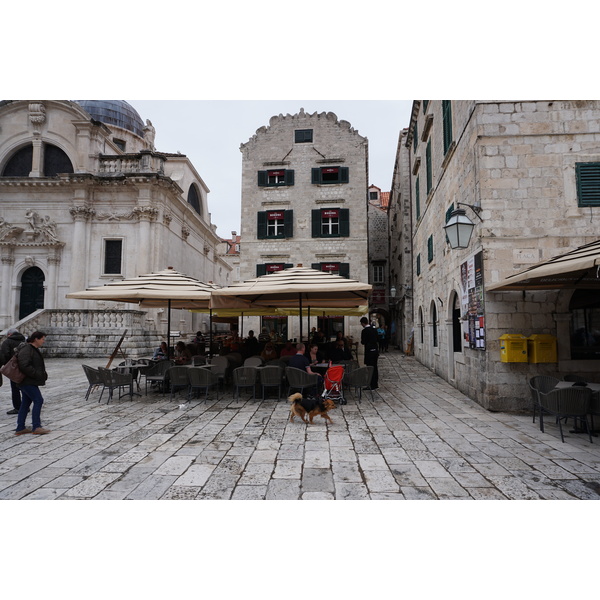 Photo Croatie Dubrovnik 2016-04 22