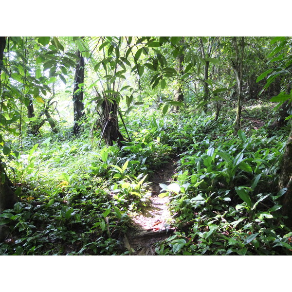 Photo Panama Bastimentos 2015-03 25