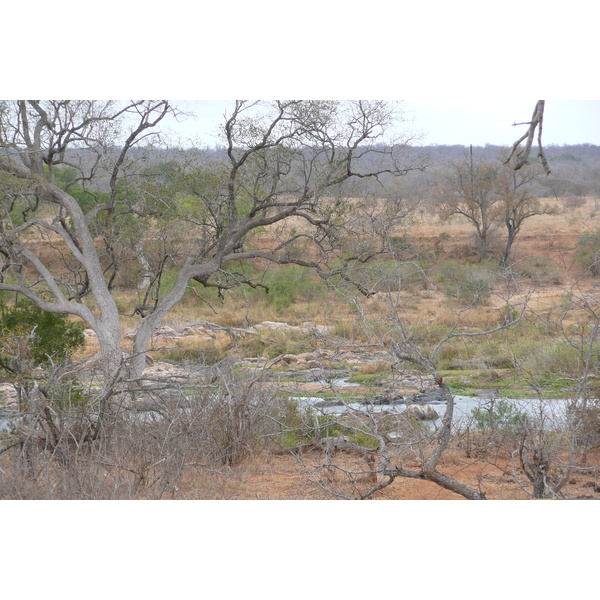 Photo Afrique du Sud Parc National Kruger rivière Crocodile 2008-09 67