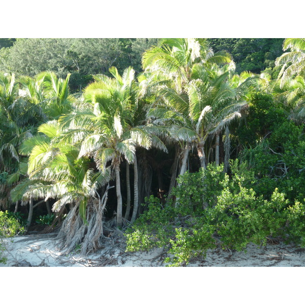 Photo Îles Fidji île Castaway(Seul au monde) 2010-05 206