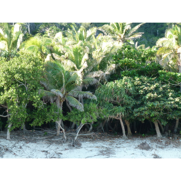 Photo Îles Fidji île Castaway(Seul au monde) 2010-05 203