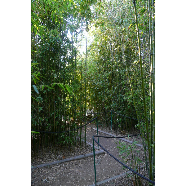 Photo France Nice Parc Phoenix 2007-10 63