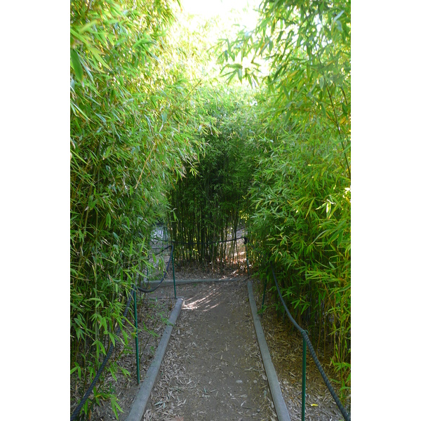 Photo France Nice Parc Phoenix 2007-10 36