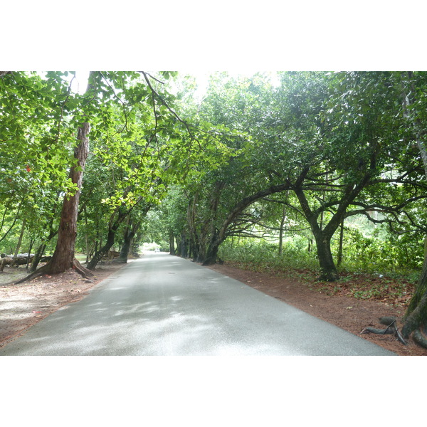Photo Seychelles Praslin 2011-10 107
