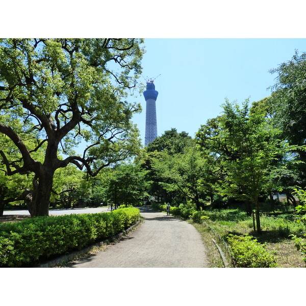 Photo Japon Tokyo Sumida 2010-06 5