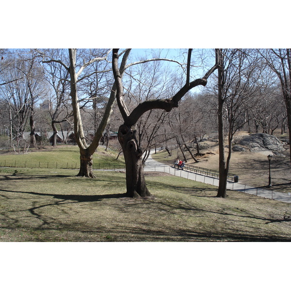 Photo États-Unis New York Central Park 2006-03 16
