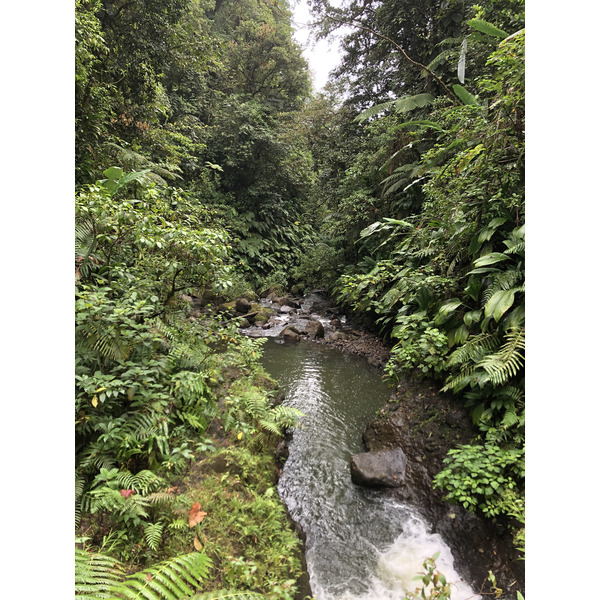 Photo Guadeloupe Chute du Carbet 2021-02 0