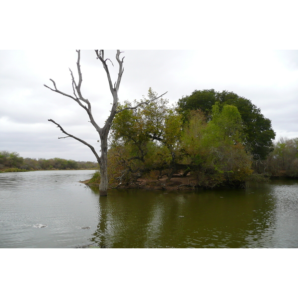 Photo Afrique du Sud Parc National Kruger Rivière Sable 2008-09 78
