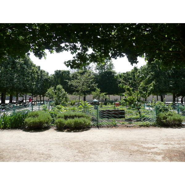 Photo France Paris Jardin des Tuileries 2007-05 362