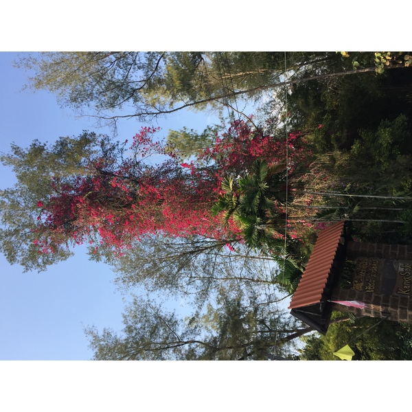 Photo Thaïlande Parc Si satchanalai 2014-12 140