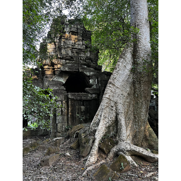 Photo Cambodge Siem Reap Preah Khan 2023-01 48