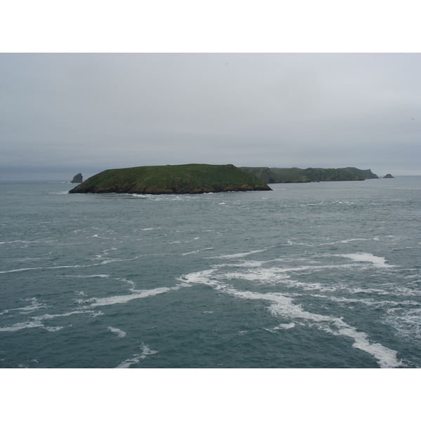 Photo Royaume-Uni Pembrokeshire Martins Havens 2006-05 2