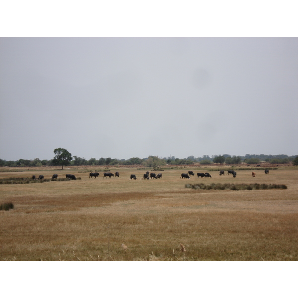 Photo France Camargue 2006-06 4