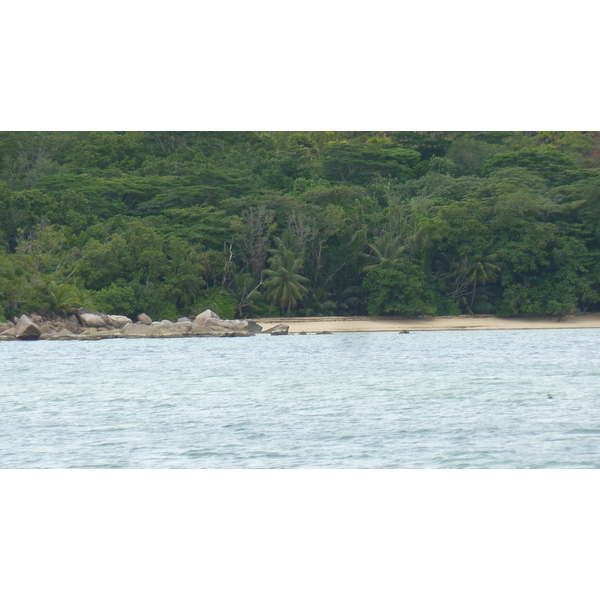 Photo Seychelles Curieuse 2011-10 16