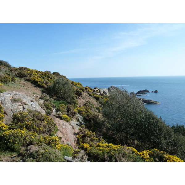 Photo Jersey 2010-04 170