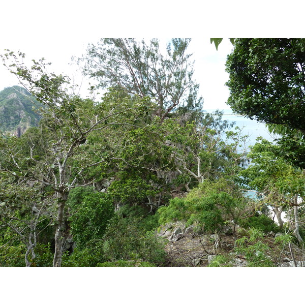 Photo Îles Fidji île Castaway(Seul au monde) 2010-05 49