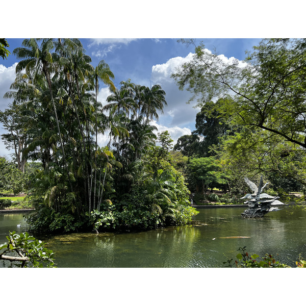 Photo Singapour Jardins botaniques de Singapore 2023-01 115