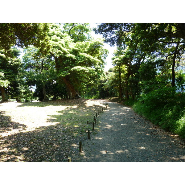 Photo Japon Tokyo Jardins Hama rikyu 2010-06 121