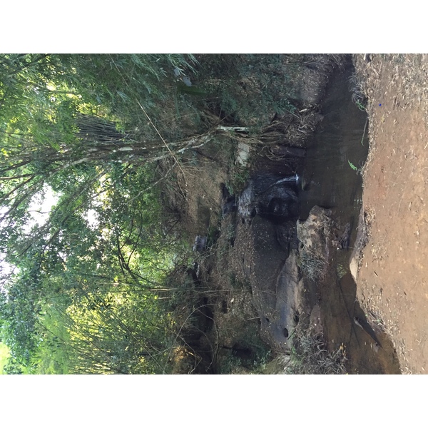 Photo Thaïlande Parc National Phu Hin Rong Kla 2014-12 246