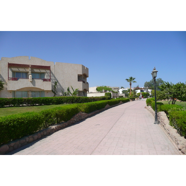 Photo Égypte Sharm el Sheikh 2008-06 70